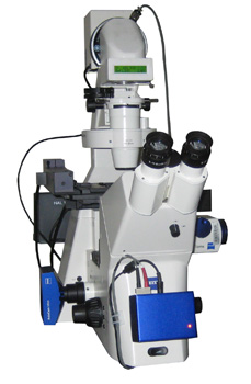 Zeiss Observer Z1 Microscope