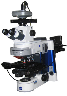 Stereology Workstation